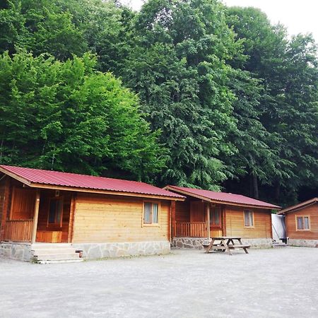 Hostal Habitat Mesire Mengen Exterior foto