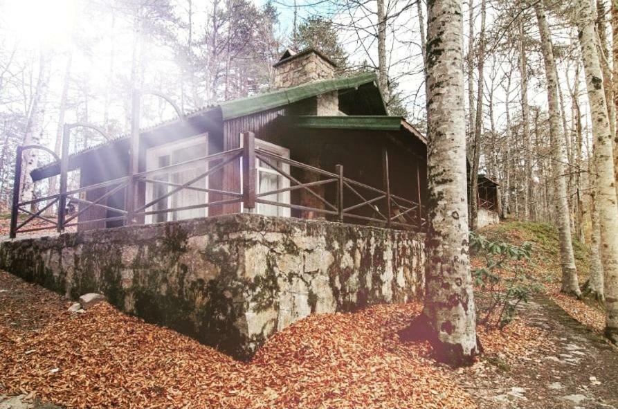 Hostal Habitat Mesire Mengen Exterior foto