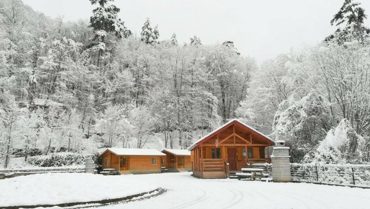 Hostal Habitat Mesire Mengen Exterior foto