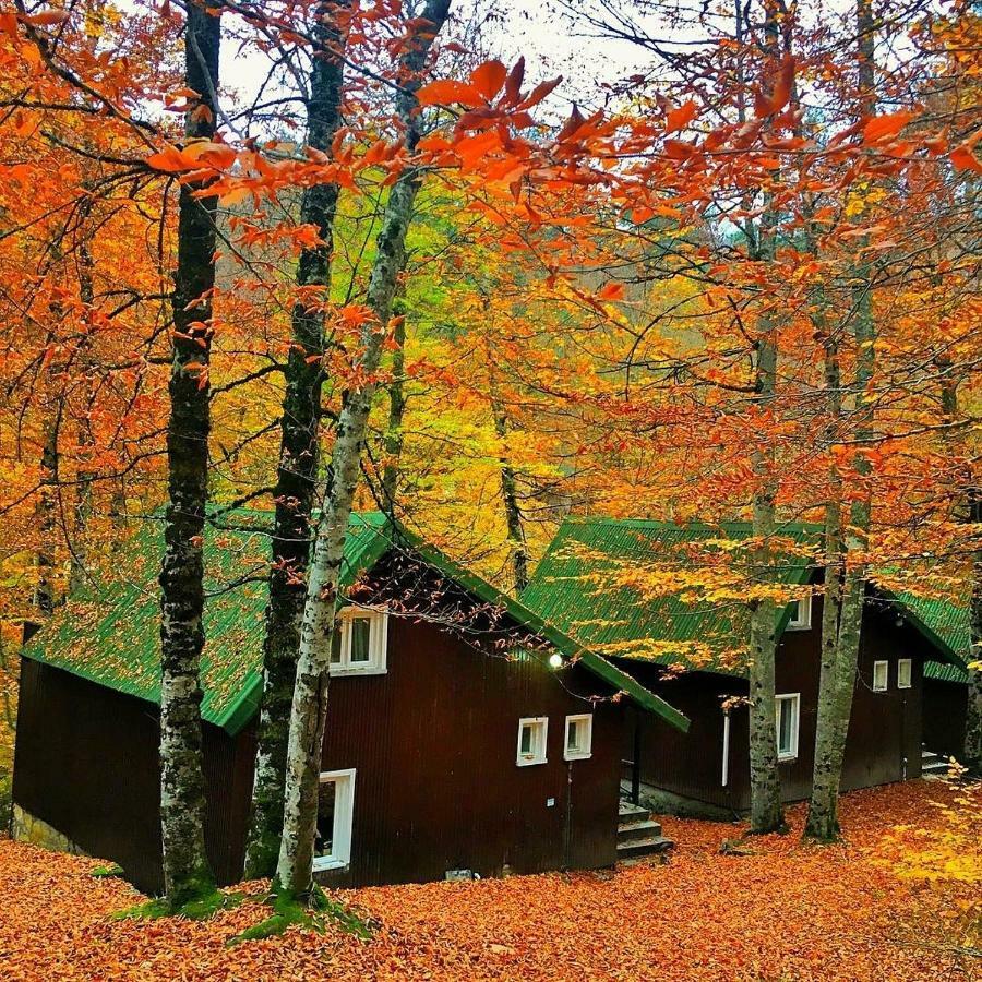 Hostal Habitat Mesire Mengen Exterior foto