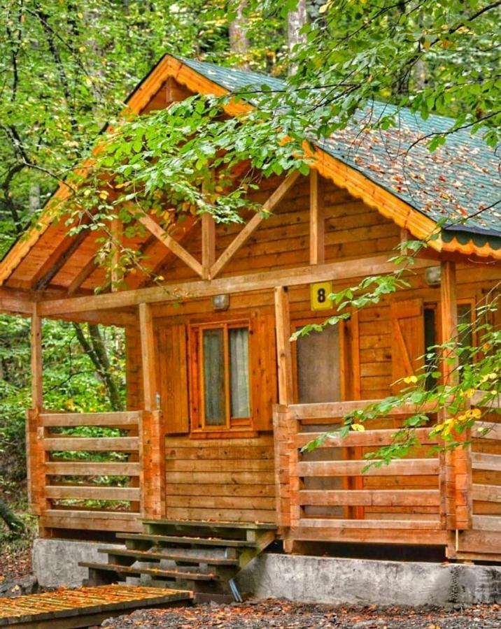 Hostal Habitat Mesire Mengen Exterior foto