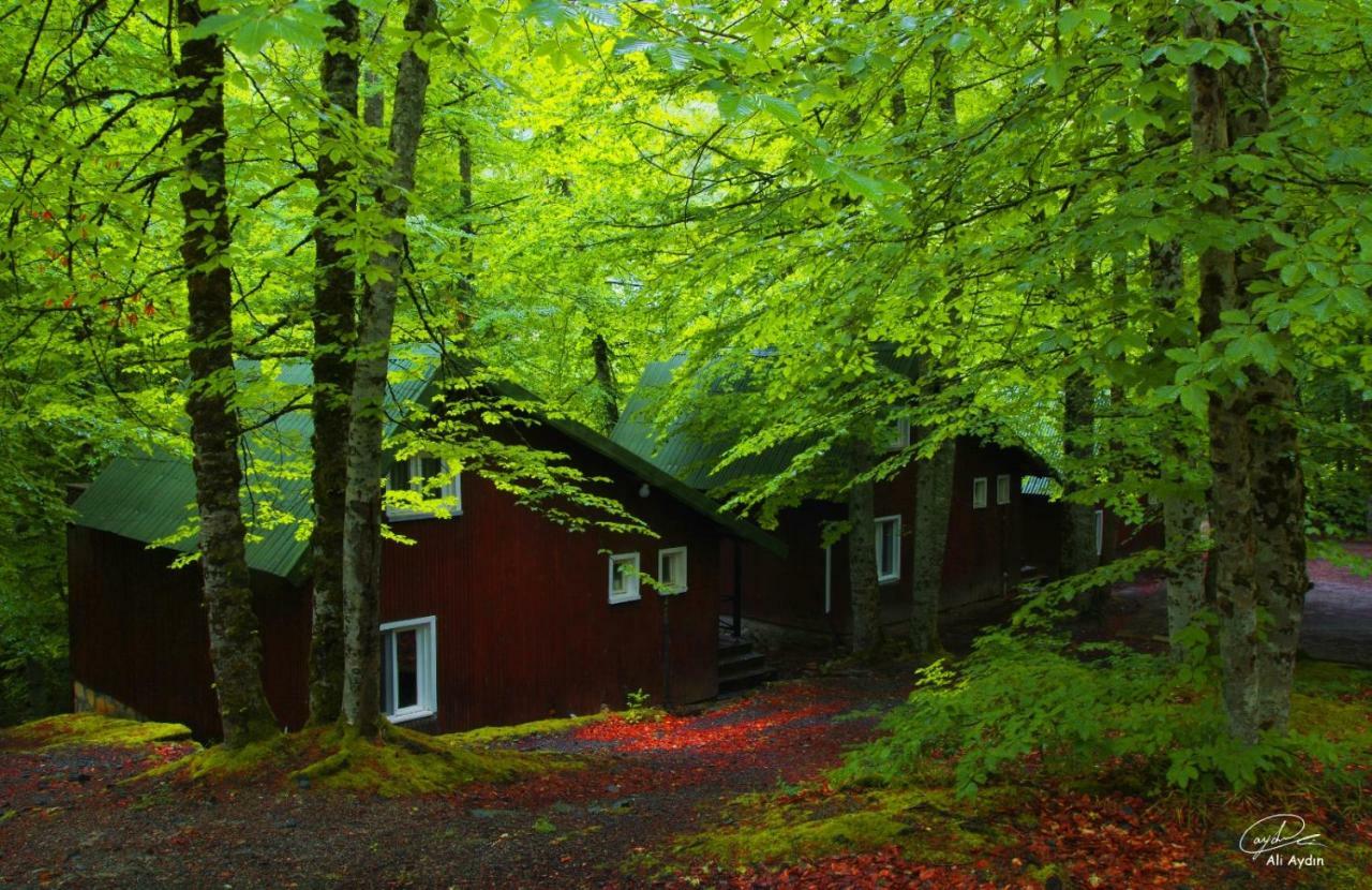 Hostal Habitat Mesire Mengen Exterior foto